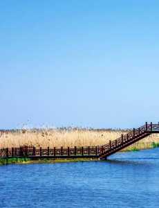 洪泽湖湿地公园?洪泽湖湿地公园在哪个城市? 第5张 洪泽湖湿地公园?洪泽湖湿地公园在哪个城市? 第5张