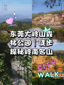 大岭山森林公园门票?大岭山森林公园门票免费的吗? 第1张 大岭山森林公园门票?大岭山森林公园门票免费的吗? 第1张