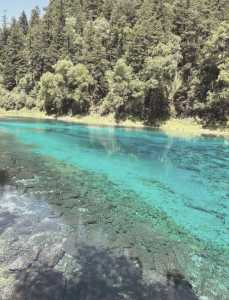 九寨沟现在旅游的人多吗,九寨沟还有人去旅游吗? 第2张 九寨沟现在旅游的人多吗,九寨沟还有人去旅游吗? 第2张