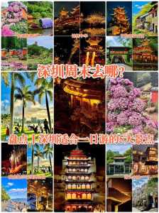 深圳一日游免费必去的地方,深圳一日游免费必去的地方带孩子 第2张 深圳一日游免费必去的地方,深圳一日游免费必去的地方带孩子 第2张