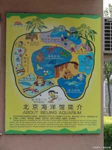 北京海洋馆门票预约官方网站,北京海洋馆门票预约官方网站时间是几点到几点? 第2张 北京海洋馆门票预约官方网站,北京海洋馆门票预约官方网站时间是几点到几点? 第2张