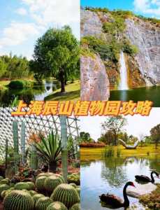 上海辰山植物园的特色,上海辰山植物园景点布局特色? 第2张 上海辰山植物园的特色,上海辰山植物园景点布局特色? 第2张