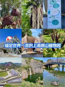 上海辰山植物园的特色,上海辰山植物园景点布局特色? 第3张 上海辰山植物园的特色,上海辰山植物园景点布局特色? 第3张