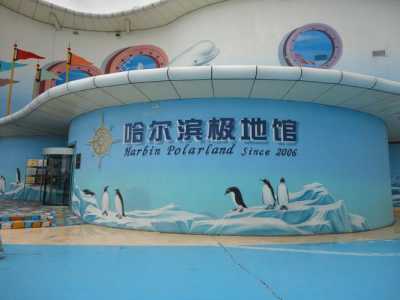 哈尔滨北极熊酒店预定?哈尔滨极地馆北极熊酒店费用? 第1张 哈尔滨北极熊酒店预定?哈尔滨极地馆北极熊酒店费用? 第1张