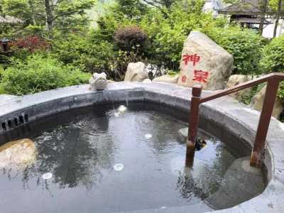 2个人去泡温泉多少钱?泡温泉可以男女一起泡吗? 第3张 2个人去泡温泉多少钱?泡温泉可以男女一起泡吗? 第3张