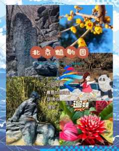 北京植物园门票预约?北京植物园门票预约平台? 第5张 北京植物园门票预约?北京植物园门票预约平台? 第5张