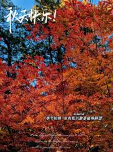 北京香山红叶什么时候看最合适,北京香山红叶最佳观赏时间是几月份? 第1张 北京香山红叶什么时候看最合适,北京香山红叶最佳观赏时间是几月份? 第1张