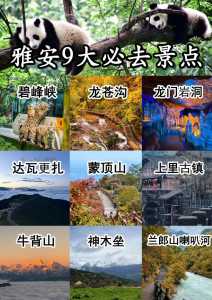 雅安旅游景点自驾游攻略,雅安旅游攻略景点必去 第3张 雅安旅游景点自驾游攻略,雅安旅游攻略景点必去 第3张