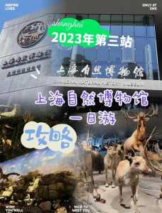 上海博物馆攻略最新,上海博物馆游玩攻略最新? 第1张 上海博物馆攻略最新,上海博物馆游玩攻略最新? 第1张