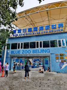 富国海底世界夜场门票,富国海底世界夜宿营? 第2张 富国海底世界夜场门票,富国海底世界夜宿营? 第2张