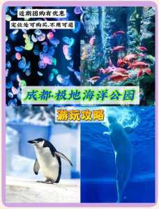 成都海昌极地海洋公园官方网站，成都海昌极地海洋公园怎么样?？  第1张