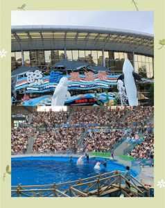 成都海昌极地海洋公园官方网站，成都海昌极地海洋公园怎么样?？  第3张