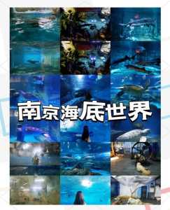 南京海底世界门票团购,2020南京海底世界门票多少钱 第3张 南京海底世界门票团购,2020南京海底世界门票多少钱 第3张