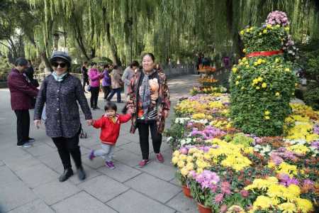 找中老年人结伴旅游,中老年结伴旅游怎么办呢 第2张 找中老年人结伴旅游,中老年结伴旅游怎么办呢 第2张