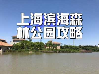 上海滨海森林公园好玩吗,上海滨海森林公园好玩吗多少钱? 第2张 上海滨海森林公园好玩吗,上海滨海森林公园好玩吗多少钱? 第2张