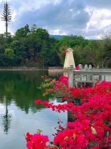 东莞旅游必去攻略,东莞旅游必去景点 第3张 东莞旅游必去攻略,东莞旅游必去景点 第3张