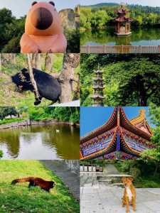 合肥中青旅旅行线路报价,合肥中青旅行社官方网站旅游报名? 第3张 合肥中青旅旅行线路报价,合肥中青旅行社官方网站旅游报名? 第3张