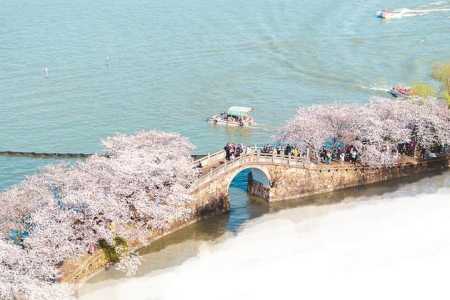 无锡太湖鼋头渚风景区,无锡太湖鼋头渚风景区图片? 第4张 无锡太湖鼋头渚风景区,无锡太湖鼋头渚风景区图片? 第4张