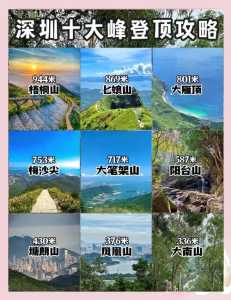 深圳市地图高清版2020,深圳市地图全图 电子版 第4张 深圳市地图高清版2020,深圳市地图全图 电子版 第4张