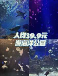 合肥海洋馆门票多少钱一张,合肥海洋馆2020门票? 第1张 合肥海洋馆门票多少钱一张,合肥海洋馆2020门票? 第1张