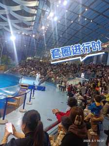合肥海洋馆门票多少钱一张,合肥海洋馆2020门票? 第2张 合肥海洋馆门票多少钱一张,合肥海洋馆2020门票? 第2张