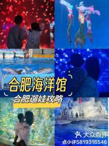 合肥海洋馆门票多少钱一张,合肥海洋馆2020门票? 第4张 合肥海洋馆门票多少钱一张,合肥海洋馆2020门票? 第4张