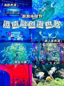 2021齐河海底世界门票,齐河海底世界2021年春节营业吗? 第2张 2021齐河海底世界门票,齐河海底世界2021年春节营业吗? 第2张