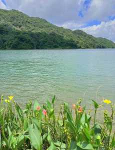 从化旅游攻略景点必去,从化旅游攻略景点必去3月份有哪些 第6张 从化旅游攻略景点必去,从化旅游攻略景点必去3月份有哪些 第6张