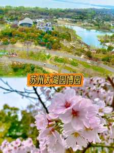 园博园游玩攻略,济南园博园游玩攻略 第3张 园博园游玩攻略,济南园博园游玩攻略 第3张
