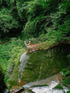 雅安前十旅游景点,雅安旅游景区 第1张 雅安前十旅游景点,雅安旅游景区 第1张