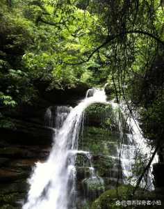 雅安前十旅游景点,雅安旅游景区 第3张 雅安前十旅游景点,雅安旅游景区 第3张