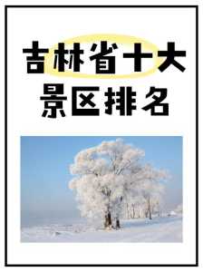 吉林市旅游信息网,吉林市旅游局电话号码 第4张 吉林市旅游信息网,吉林市旅游局电话号码 第4张