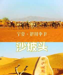 宁夏中卫沙坡头旅游攻略,沙坡头最建议去的三个地方 第3张 宁夏中卫沙坡头旅游攻略,沙坡头最建议去的三个地方 第3张