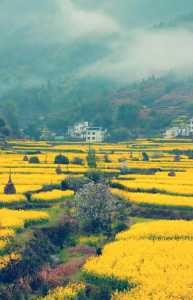 江西旅游婺源介绍?江西婺源旅游攻略必玩的景点? 第5张 江西旅游婺源介绍?江西婺源旅游攻略必玩的景点? 第5张