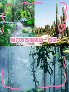 厦门植物园门票多少钱?厦门植物园门票多少钱一张人民币? 第1张 厦门植物园门票多少钱?厦门植物园门票多少钱一张人民币? 第1张