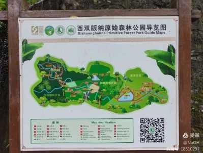 西双版纳原始森林公园门票,西双版纳原始森林公园门票60岁有优惠吗? 第1张 西双版纳原始森林公园门票,西双版纳原始森林公园门票60岁有优惠吗? 第1张