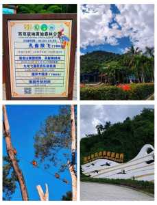 西双版纳原始森林公园门票,西双版纳原始森林公园门票60岁有优惠吗? 第6张 西双版纳原始森林公园门票,西双版纳原始森林公园门票60岁有优惠吗? 第6张