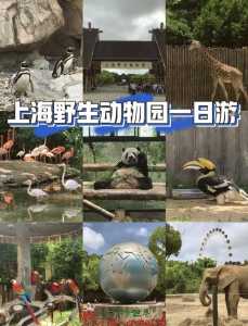 上海野生动物园门票多少一张,上海野生动物园票价多少元? 第5张 上海野生动物园门票多少一张,上海野生动物园票价多少元? 第5张