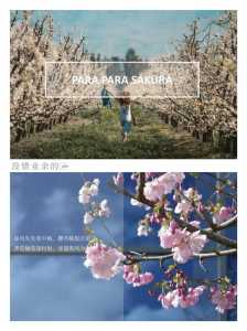 朝天吼漂流攻略,朝天吼漂流终点距离起点有多远 第3张 朝天吼漂流攻略,朝天吼漂流终点距离起点有多远 第3张