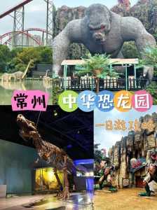 中华恐龙园有什么好玩的,中华恐龙园有什么好玩的景点 第3张 中华恐龙园有什么好玩的,中华恐龙园有什么好玩的景点 第3张