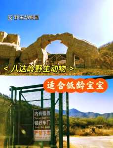 北京八达岭野生动物园?北京八达岭野生动物园开放时间? 第1张 北京八达岭野生动物园?北京八达岭野生动物园开放时间? 第1张