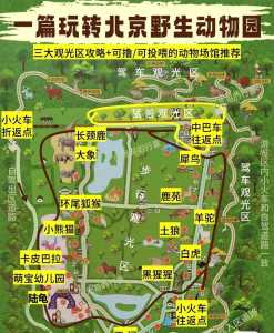 北京八达岭野生动物园?北京八达岭野生动物园开放时间? 第2张 北京八达岭野生动物园?北京八达岭野生动物园开放时间? 第2张