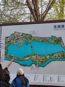 玉渊潭公园开放时间,玉渊潭公园没预约能进吗 第3张 玉渊潭公园开放时间,玉渊潭公园没预约能进吗 第3张