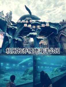 极地海洋公园门票,极地海洋公园门票费用? 第2张 极地海洋公园门票,极地海洋公园门票费用? 第2张