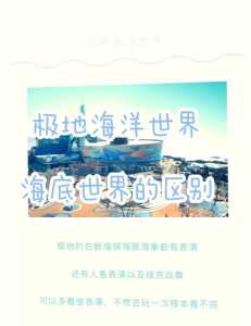极地海洋公园门票,极地海洋公园门票费用? 第3张 极地海洋公园门票,极地海洋公园门票费用? 第3张