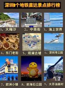 深圳穷游一天推荐?深圳一个人穷游散心去哪好? 第5张 深圳穷游一天推荐?深圳一个人穷游散心去哪好? 第5张