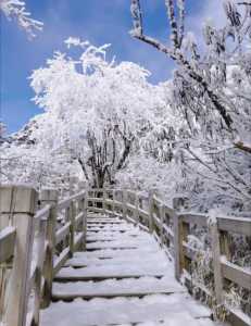 西岭雪山攻略两日游?西岭雪山攻略两日游多少钱? 第1张 西岭雪山攻略两日游?西岭雪山攻略两日游多少钱? 第1张