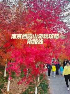 栖霞山风景区门票,栖霞山风景区门票优惠对象? 第5张 栖霞山风景区门票,栖霞山风景区门票优惠对象? 第5张