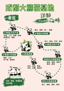 成都熊猫基地攻略,成都熊猫基地攻略图? 第1张 成都熊猫基地攻略,成都熊猫基地攻略图? 第1张