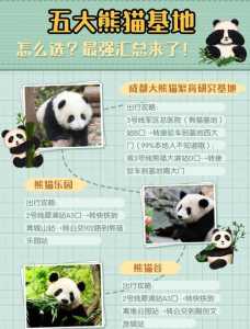 成都熊猫基地攻略,成都熊猫基地攻略图? 第6张 成都熊猫基地攻略,成都熊猫基地攻略图? 第6张